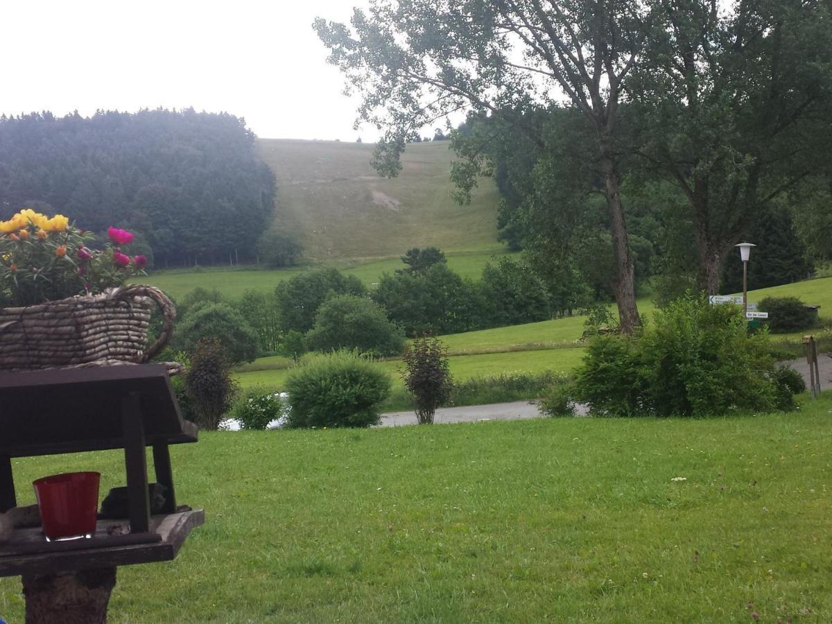 Cosy Apartment Over Usseln With Private Terrace Willingen  Exteriör bild