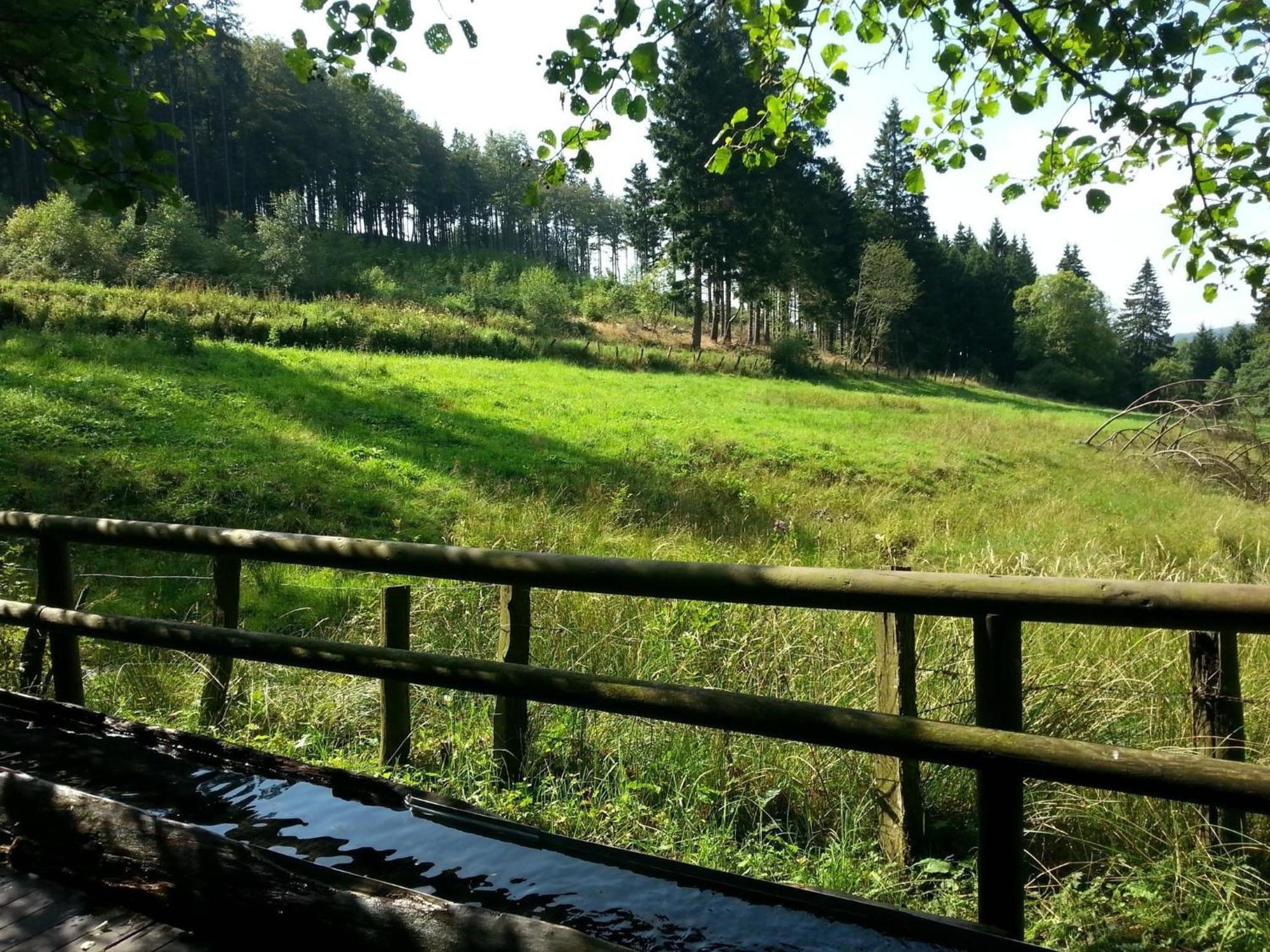 Cosy Apartment Over Usseln With Private Terrace Willingen  Exteriör bild